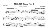 Ferling Etudes 5 & 6