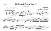 Ferling Etudes 5 & 6