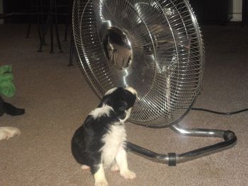 Well............. a few more minutes should be fine!

