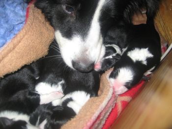 Checking up on the babies

