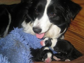 'Casey' = Note to self, JOB WELL DONE :o)
