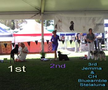 Congratulations & well done to the other 2 girls who won the other 2 placings of today's competition!
