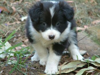 I know... I'm cute aren't I..
