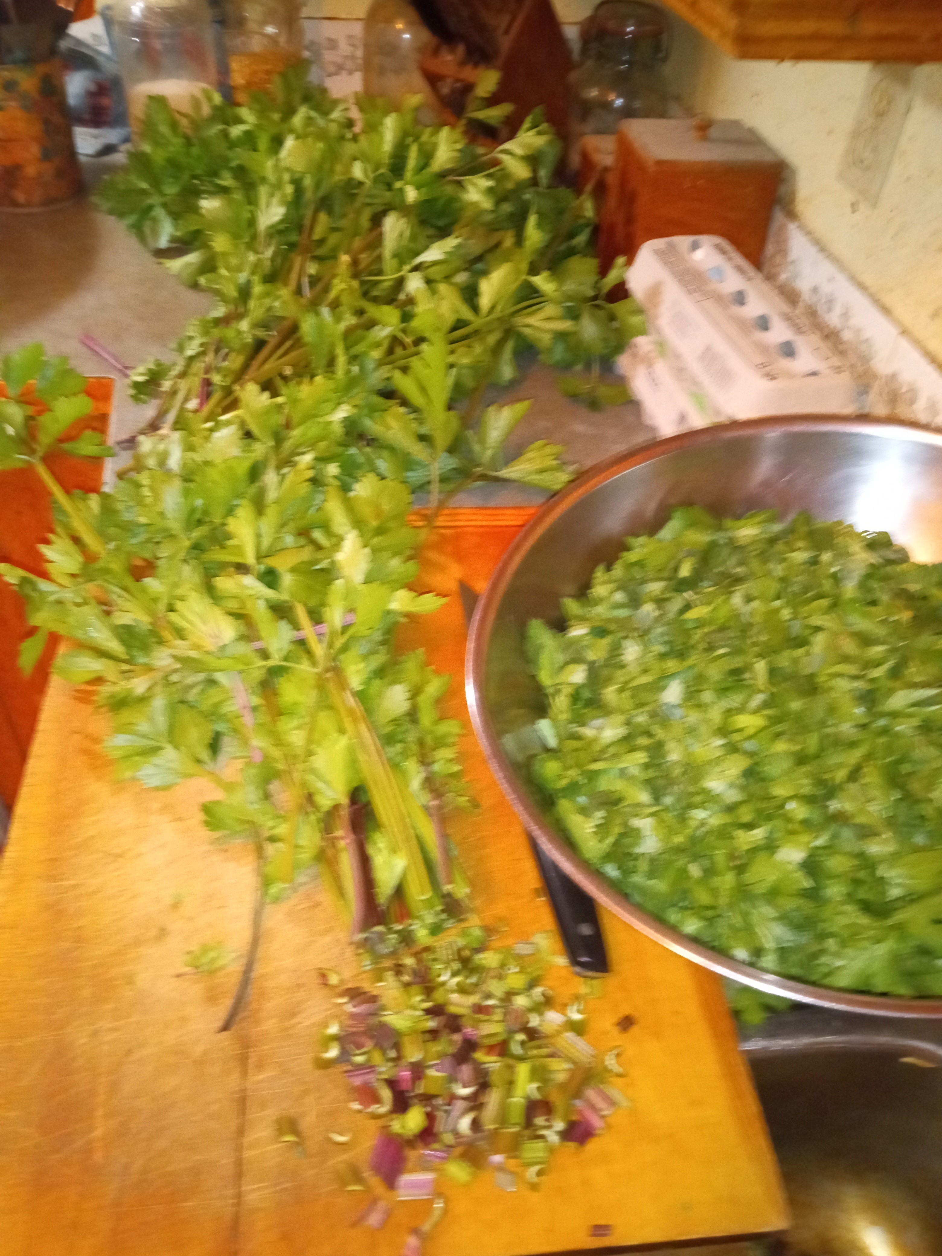Does gardening save money -  2025 in review - preserving celery