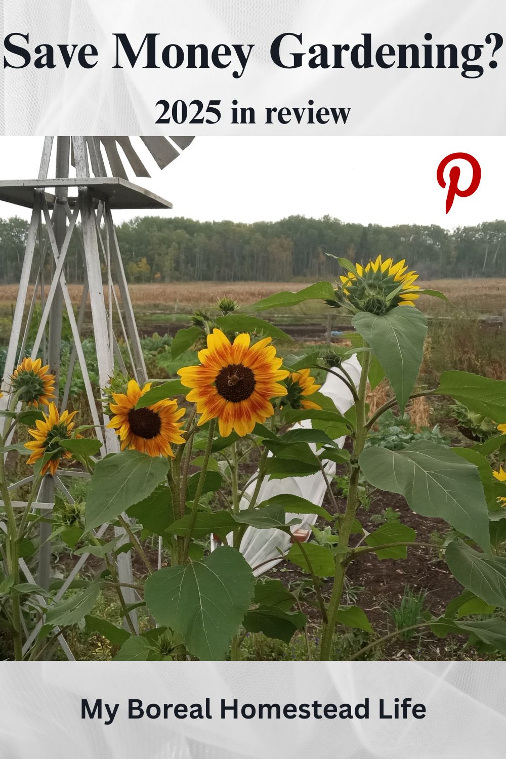 Does gardening save money - 2025  in review - Pinterest link