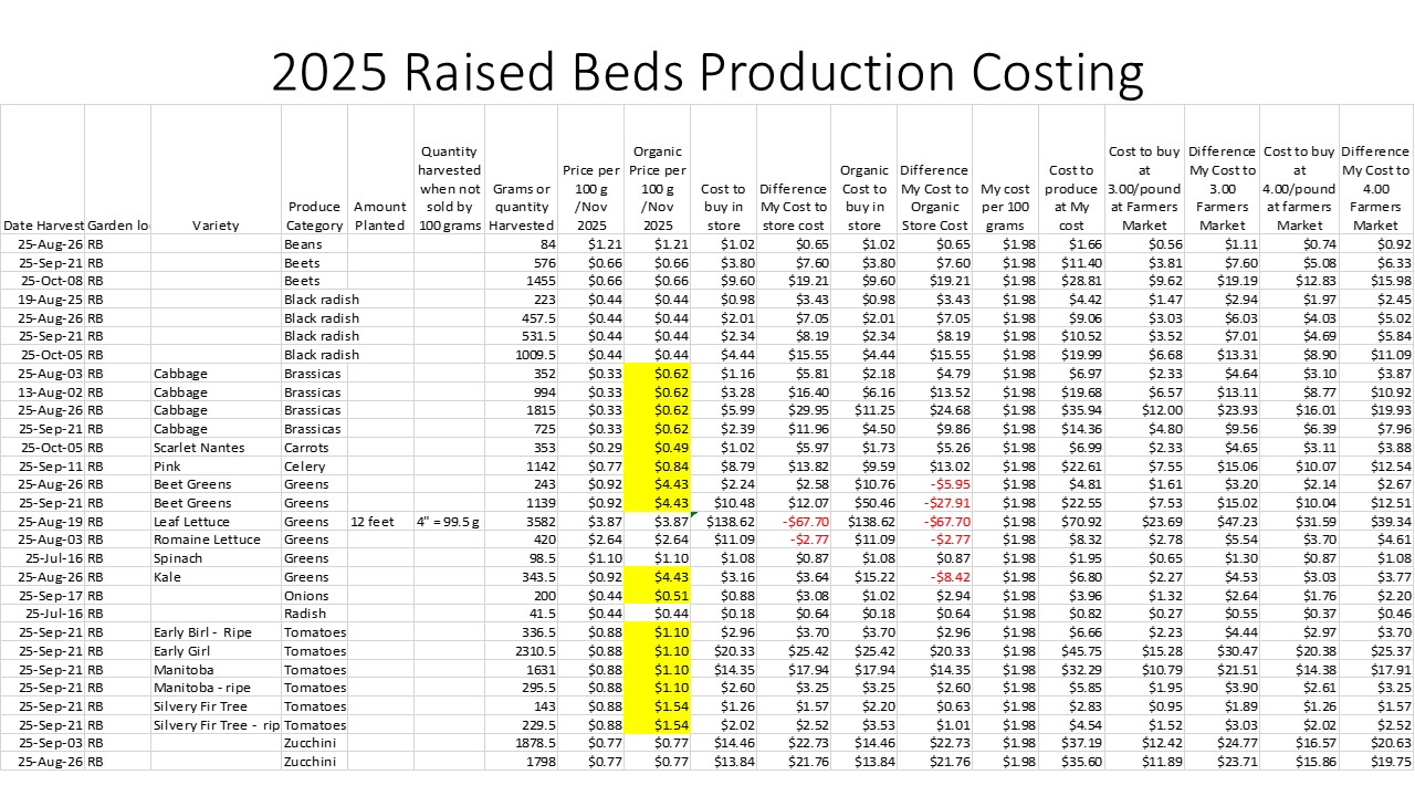 Does gardening save money  - 2025 in review - Raised bed costing