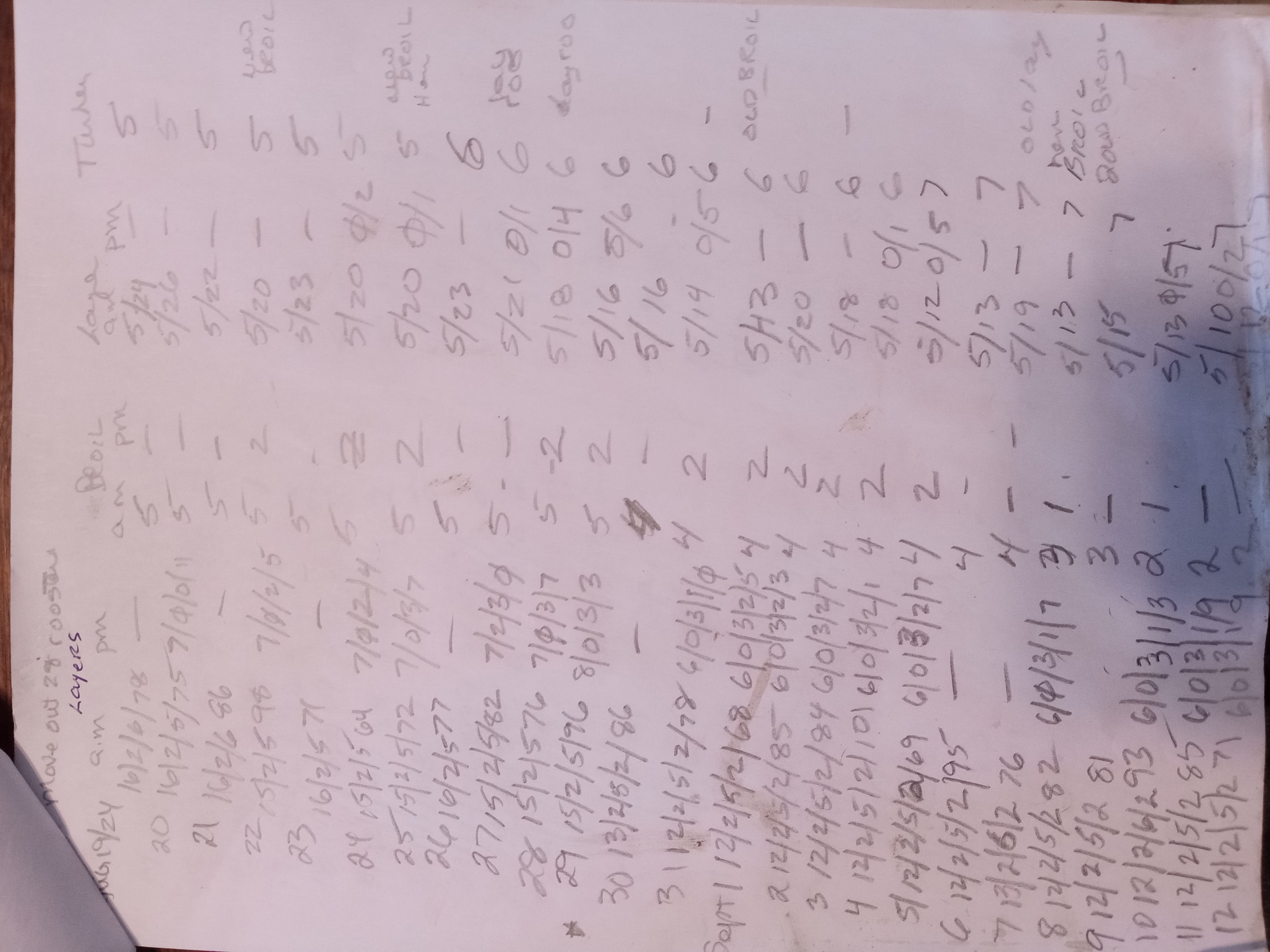 Is selling eggs profitable - data collection ledger