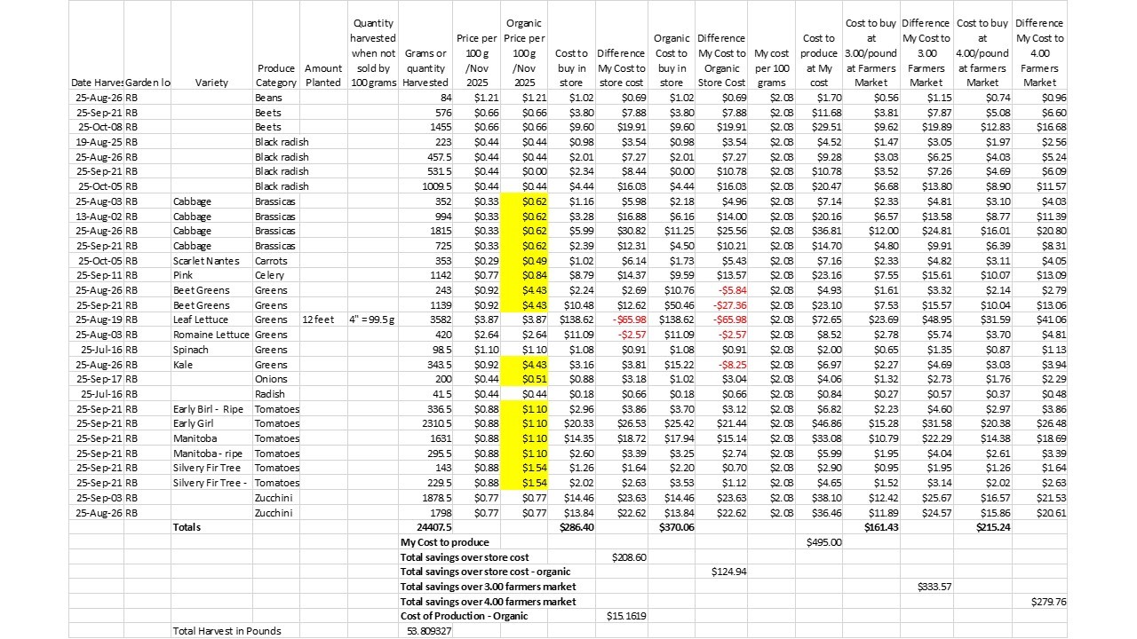does gardening save money - 2025 in  review - raised bed cost comparison