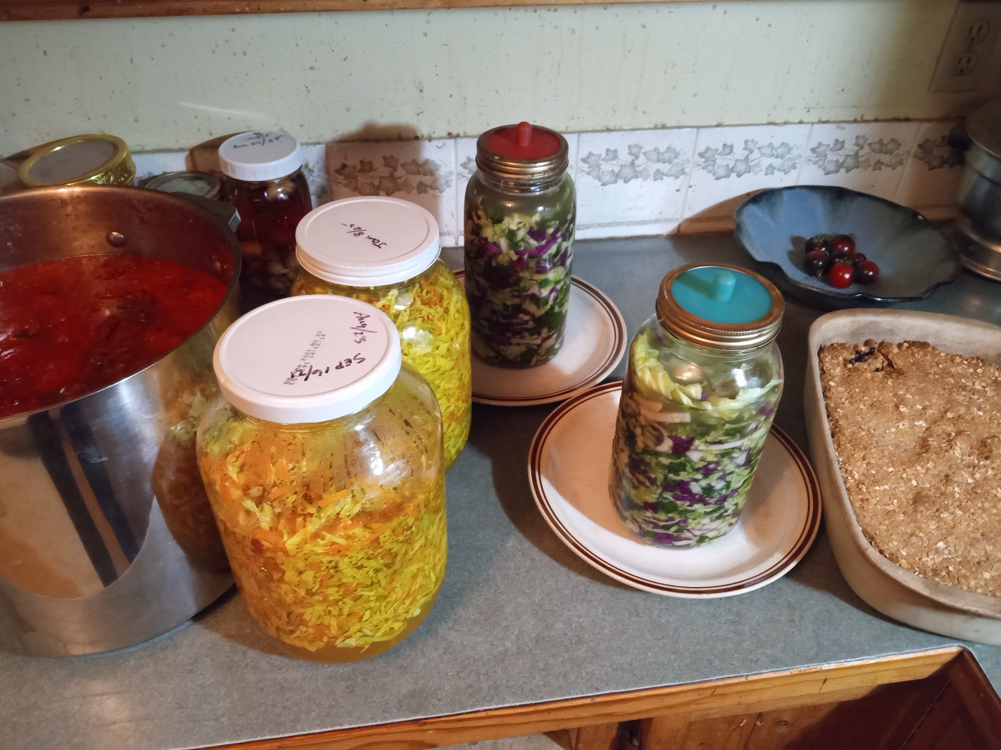 Does gardening save money - 2025 in review - preserving the harvest