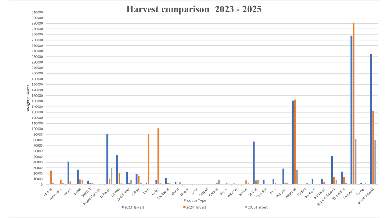 Does gardening save money  - 3 year harvest comparison