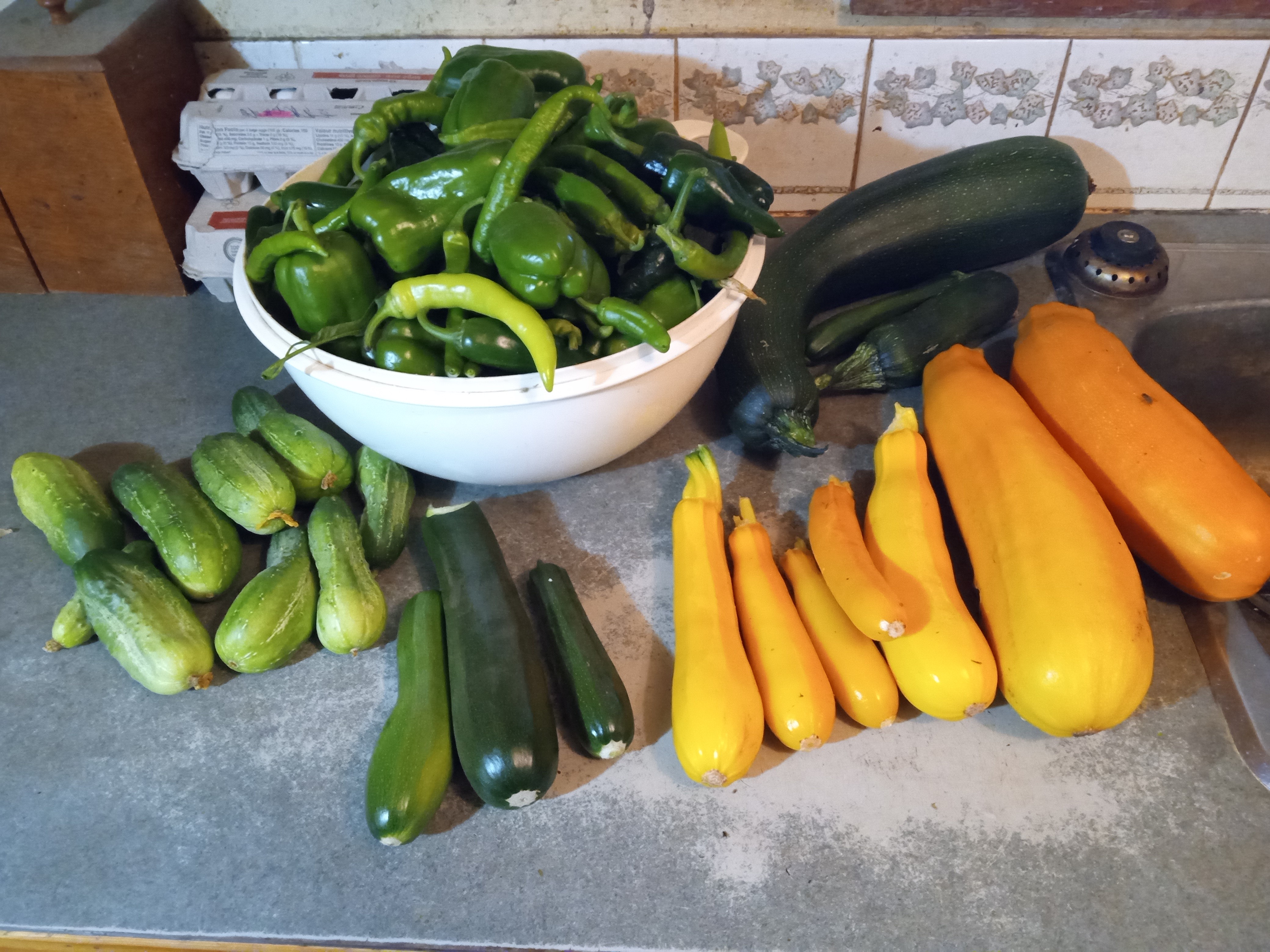 Does gardening save money - 2025 in review - post freeze harvest