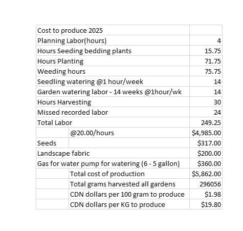 Does gardening save money -  2025 cost of production