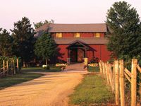 Jazz in the Vineyard