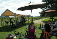 Jazz in the Vineyards