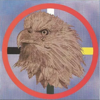 I Saw the Eagle Cry - CD