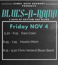 Blues-a-Rama Camel Rock Brewery 