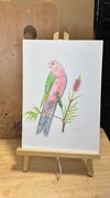 KING PARROT from the "In the Garden" series