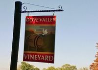 80s and 90s Party at Dove Valley Winery!
