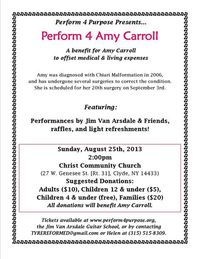 Jim Van Arsdale & Friends..Perform 4 Amy Carroll