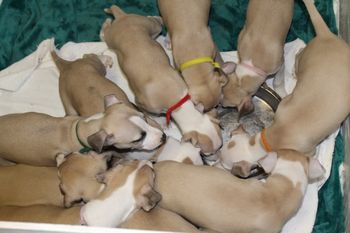 Chow time...
