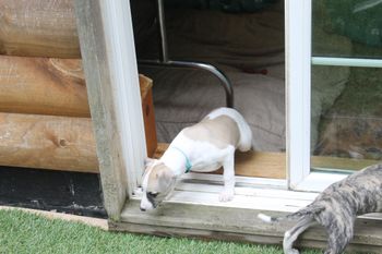 Hermes says whats out there...
