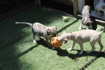 IKE and Hope..IKE is not giving up the ball without a tug of war...LOL
