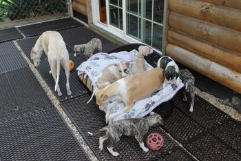 Hanging with the gang..
