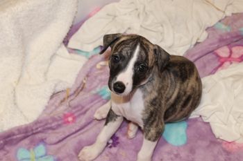 Oh Cali,your so cute!
