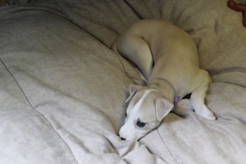 Adorable Betty...
