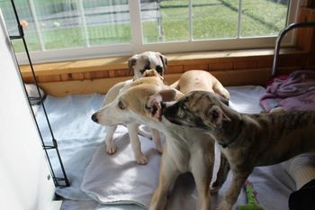 Grandma sitting in for playtime...
