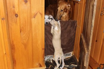 Hope saying HI to Monty and Isaiah...
