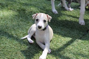 Awww,the cuteness!!
