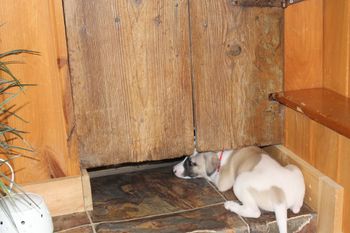 Samson says whos underthere...
