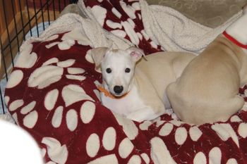 Oh "Molly" is SO CUTE!
