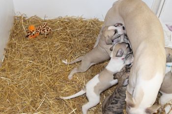 Milk Bar standing room only...LOL
