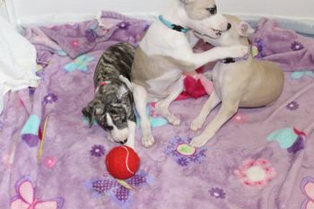 Play time..
