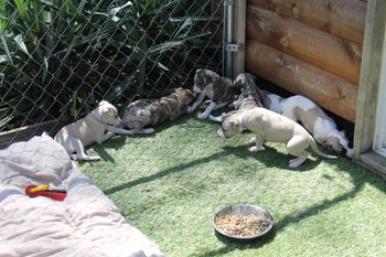 exploring the new outside...
