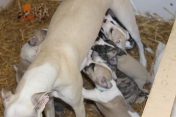 Milk bar is open.....quick before it runs out....LOL
