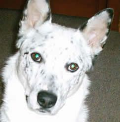TUCKER
