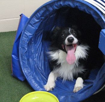 FINN aka TURF
