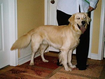 DARBY

