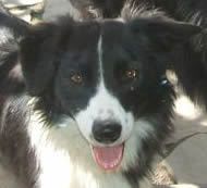SKYE
