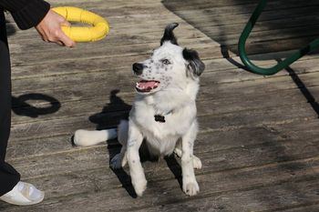 DUKE
