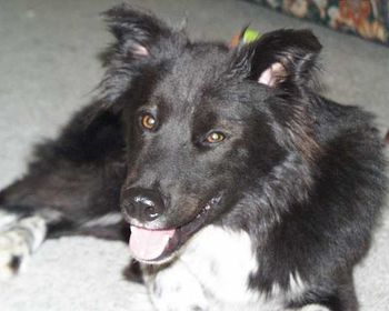 DUNCAN
