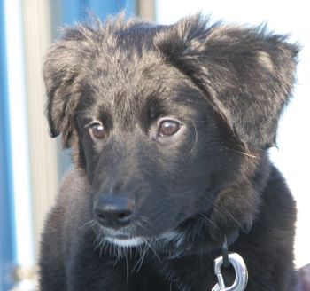 KENJI aka Little Dude
