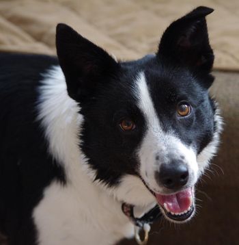 ROO  AKA  JUNE
