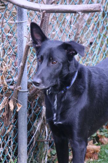 JAX
