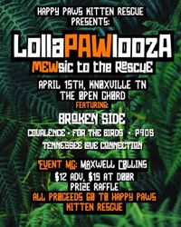lollaPAWlooza: Mewsic to the Rescue