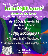 LollaPAWlooza: Mewsic to the Rescue