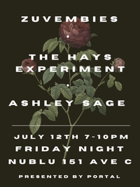 The Hays Experiment Live @ Nublu NYC